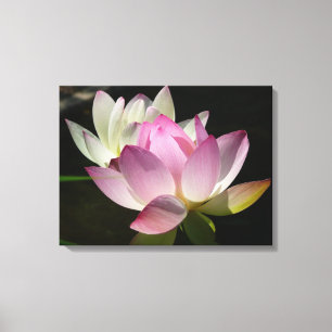 Pair of Lotus Flowers II Canvastryck