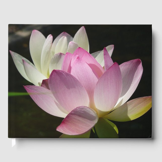 Pair of Lotus Flowers II Gästböcker (Framsida)