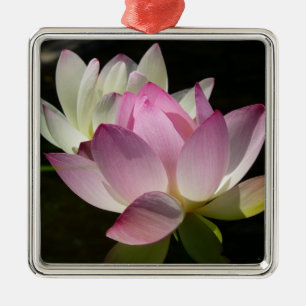 Pair of Lotus Flowers II Julgransprydnad Metall