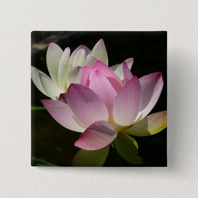 Pair of Lotus Flowers II Knapp (Framsida)