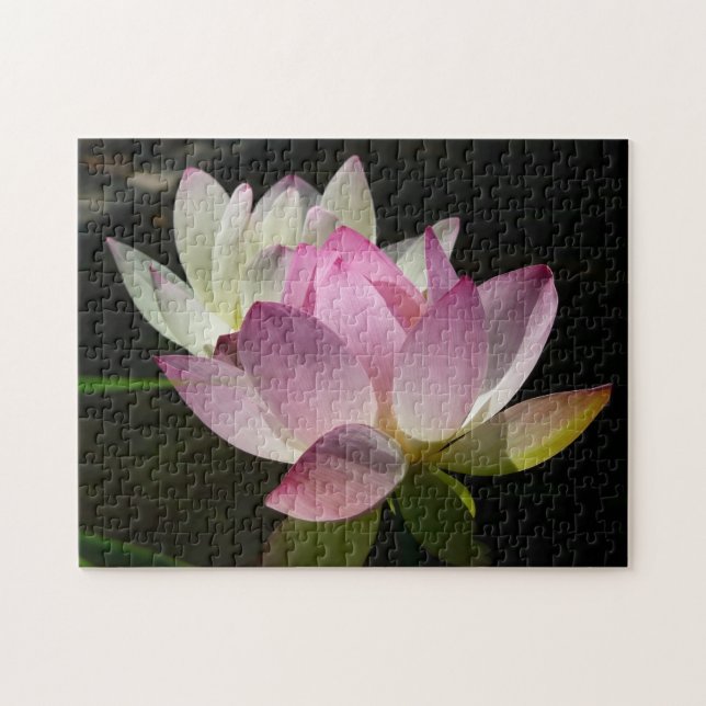 Pair of Lotus Flowers II Pussel (Horisontell)