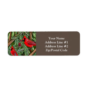 Pair of Majestic Vild Red Cardinals Returadress Etikett