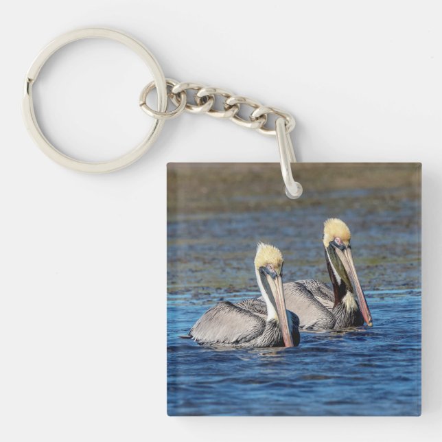 Pair of Pelicans (Framsidan)