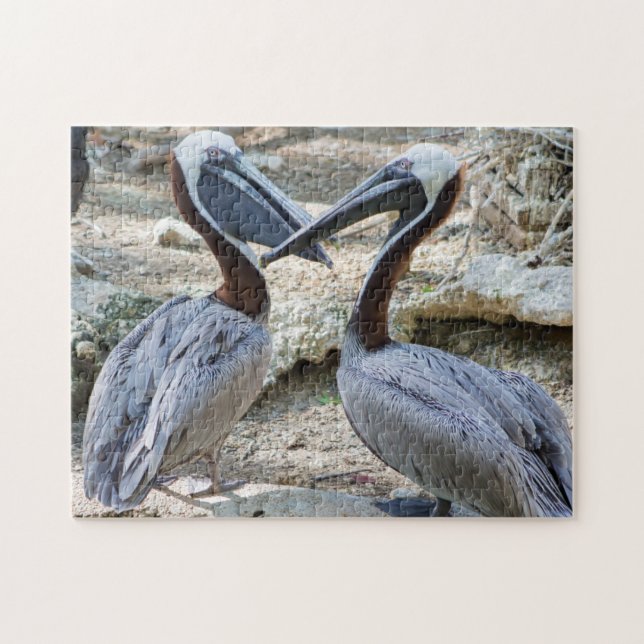 Pair of Pelicans Jigszawa Puzzle Pussel (Horisontell)