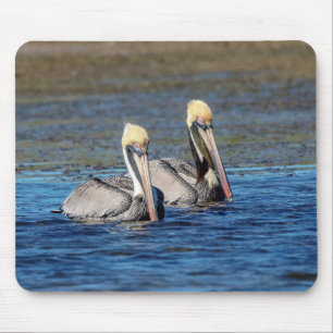 Pair of Pelicans Musmatta