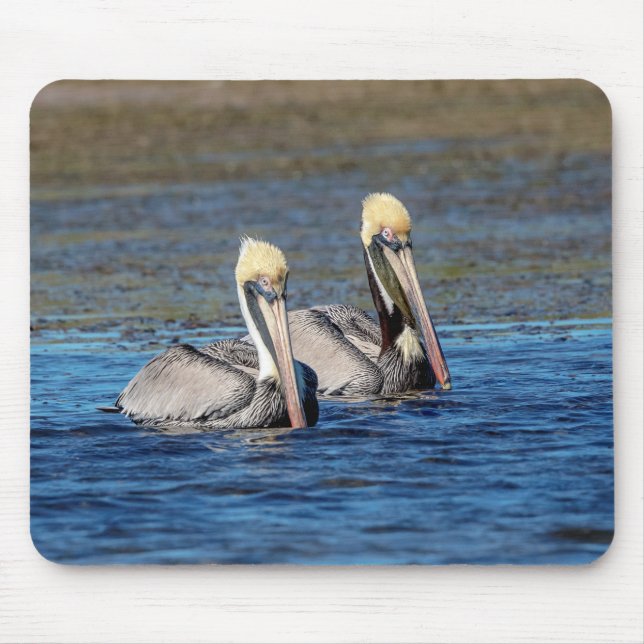 Pair of Pelicans Musmatta (Framsidan)
