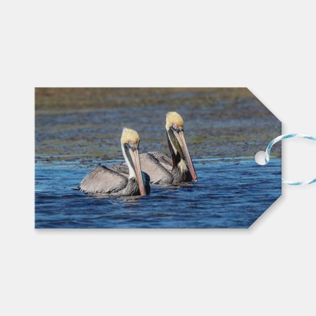 Pair of Pelicans Presentetikett (Framsidan (Horisontell))