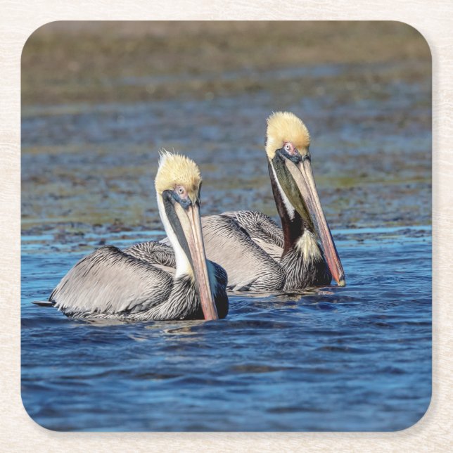 Pair of Pelicans Underlägg Papper Kvadrat (Framsidan)