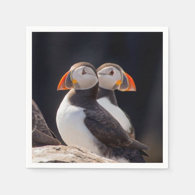 Pair of Puffins Pappersservett (Framsidan)