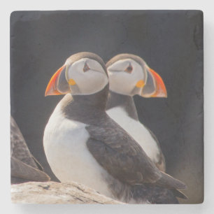 Pair of Puffins Stenunderlägg