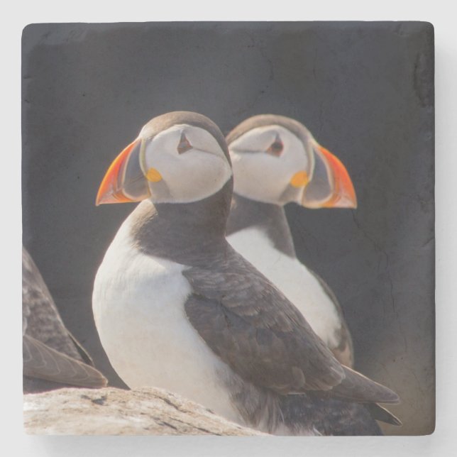 Pair of Puffins Stenunderlägg (Framsidan)