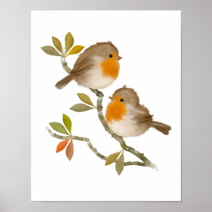 Pair of Robin Birds Poster Skriv ut