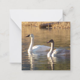 Pair of Svanar Valentine's Day Note Card Anteckningskort