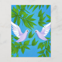 Pair of White Doves