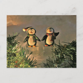 Pair Penguins Vykort