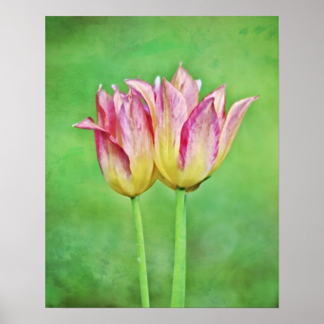 Pair Photographic Art Skriv ut med tvillingtulpanb Poster (Framsidan)