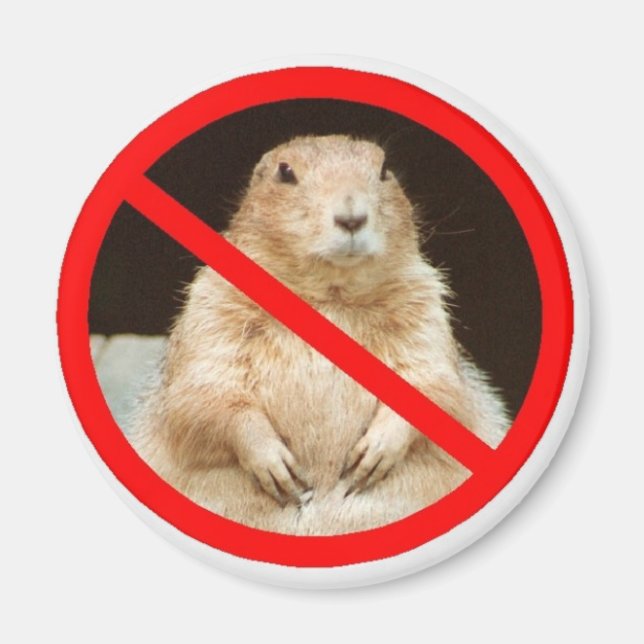 pairiedoggin magnet (Framsidan)