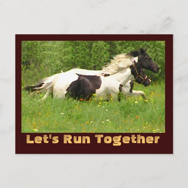 PairPintos-vykort Vykort (Framsida)