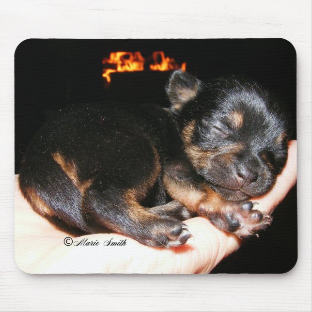 Paisley Marie 1 Musmatta (Framsidan)