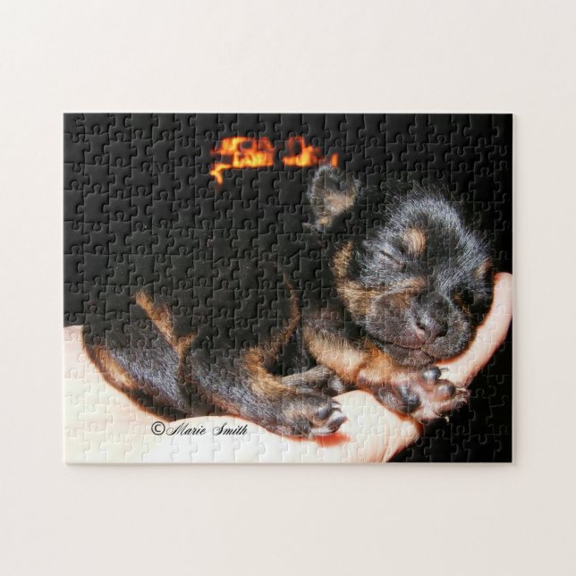 Paisley Marie 1 Pussel (Horisontell)