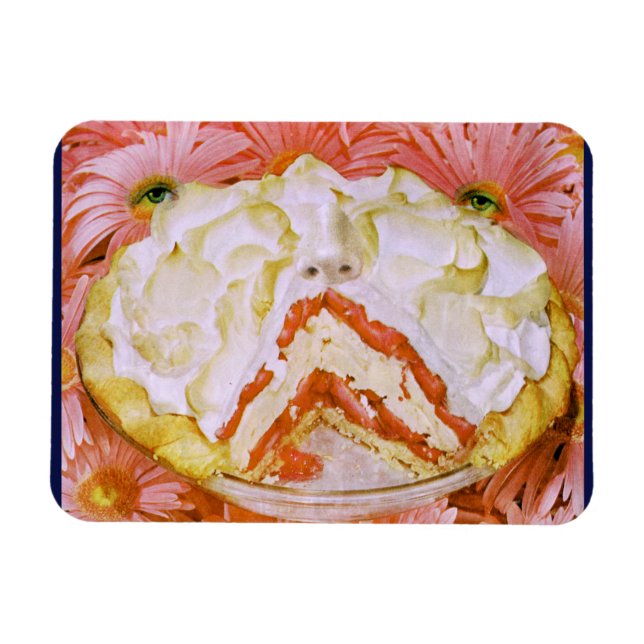 Paj Ansikte Magnet (Horisontell)