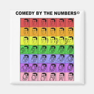 Paj i Ansikte - MAGNET