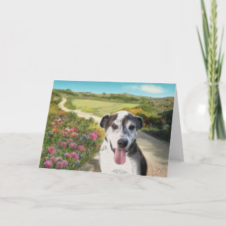 Paj i Fält i Dahlias (Hund på väg blankokort) Kort