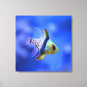 PajamaCardinalfish - revsamlingen Canvastryck