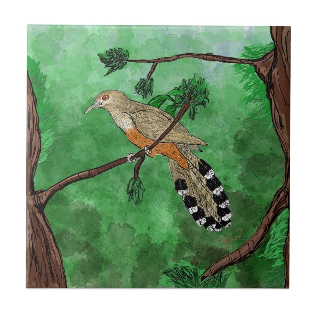 Pájaro Bobo Mayor/Puertorrican Ligua Cuckoo Tile Kakelplatta (Framsidan)