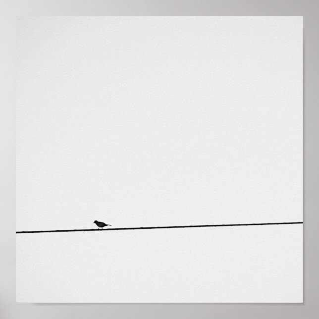 Pájaro posado en blanco y negro poster (Framsidan)