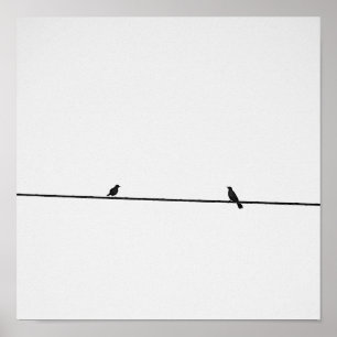 Pájaros posados en blanco y negro poster