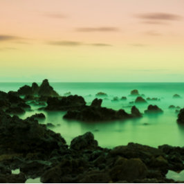 PAKE SALMON - HAWAIIAN FINE ART CALENDAR 2024 KALENDER