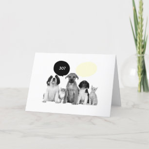 PAKET MED HUNDAR "30:e" BIRTHDAY-KOMPLIMENT Kort