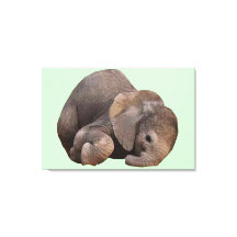 Paket med Joy Canvas Art