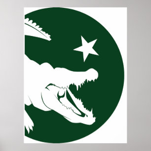 Pakistan Crocodile Pakistani National Animal Flagg Poster