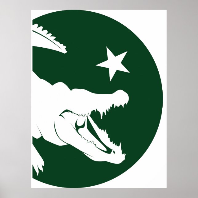 Pakistan Crocodile Pakistani National Animal Flagg Poster (Framsidan)