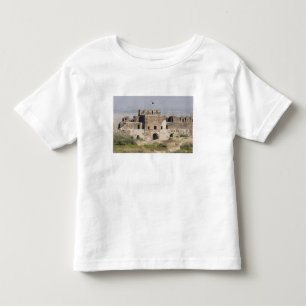 Pakistan, Dina. Talaqi Gate sedd från Tee Shirt