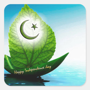 pakistan flagga art.jpg fyrkantigt klistermärke