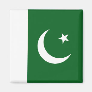 Pakistan flaggamagnet magnet