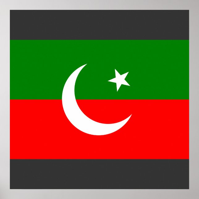 Pakistan Tehreek e Insaf, Pakistan Poster (Framsidan)