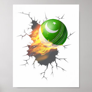 Pakistanska Cricket Supporters Kit Present Pakista Poster