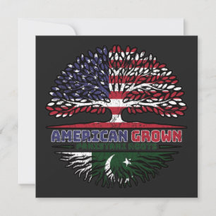 Pakistanskt amerikanskt amerikanskt USA, Förenta S Kort