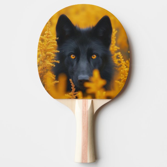 Pala de Ping Pong Lobo Negro Observando Pingisracket (Framsidan)