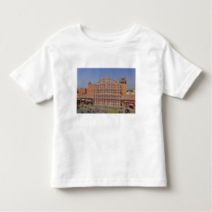 Palace of the Vinds (Hawa Mahal), Jaipur, Indien Tee