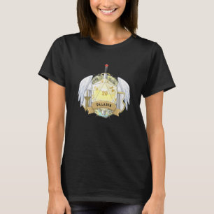 Paladin Class AligMENT Dice Dungeon Role Mas T Shirt