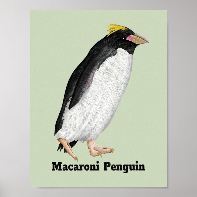 Palaeudyptes Utdödar Penguin Poster (Framsidan)