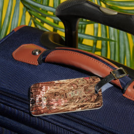 Palais Garnier Opera. Paris. Frankrike. Bagagebricka