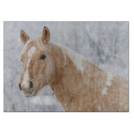Palamino Horse i Snö