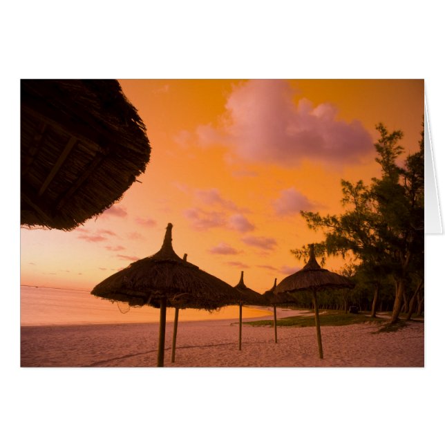 Palapa-strandhäckarna i stil vid soluppgången, Bel Hälsningskort (Framsidan Horizontal)