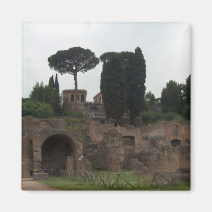 Palatine backe i Rome, italien Magnet